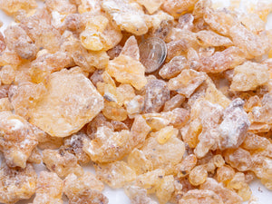 Frankincense Frereana, "Mushaad", Somaliland