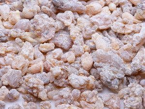 Frankincense Carterii, Somaliland