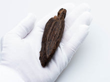 Load image into Gallery viewer, Sinking Borneo Agarwood